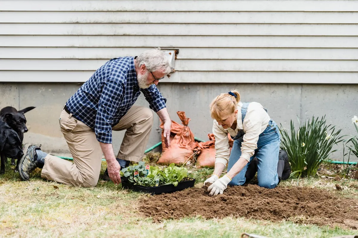 An older couple kneeling in their backyard, planting seedlings together on a sunny day.