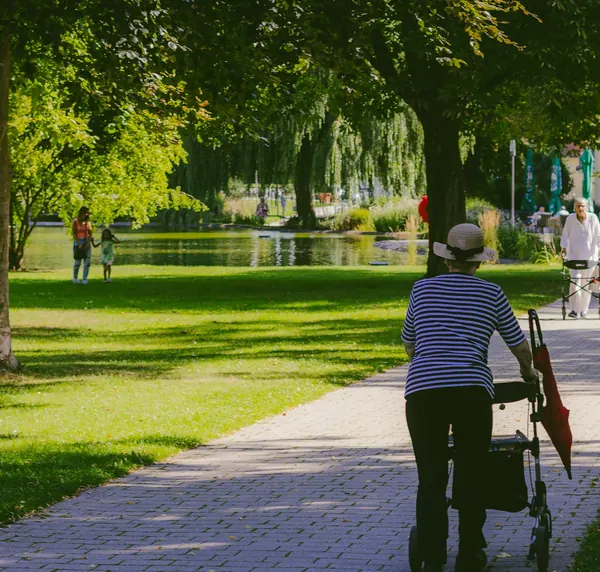A person walking with a rollator along a sunny, tree-lined park path.
